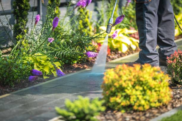 Best Pre-Holiday Cleaning  in South Plainfield, NJ